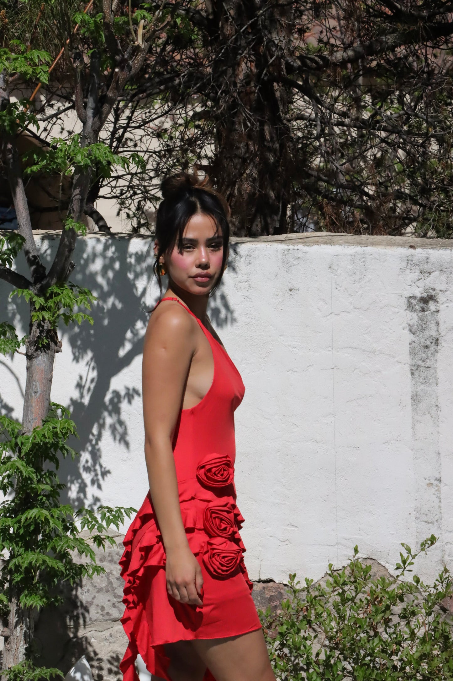 Ellen Dress